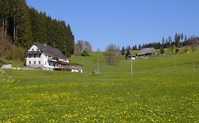 Gasthaus Pension Donishäusle